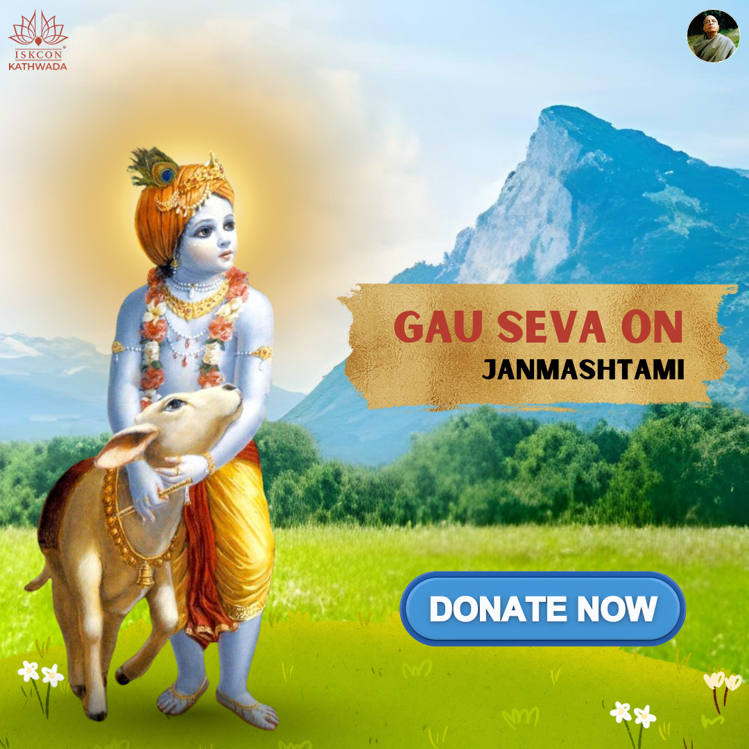 Gau Seva on Janmashtami