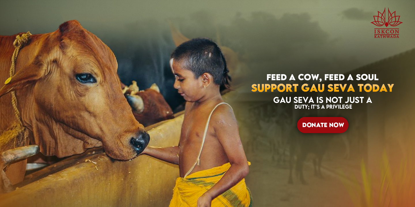 A cow being lovingly cared for